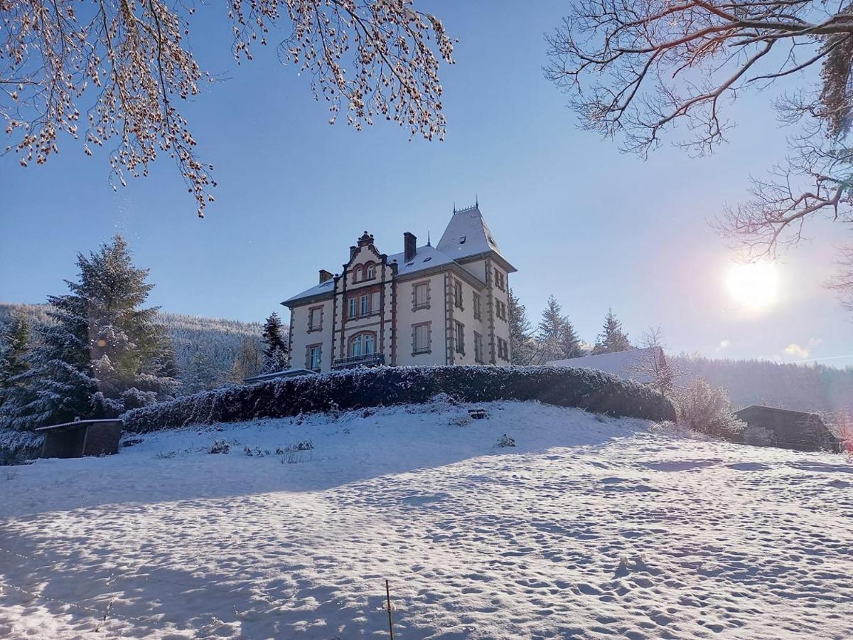 Chateau Robert Raon-l'Etape ภายนอก รูปภาพ