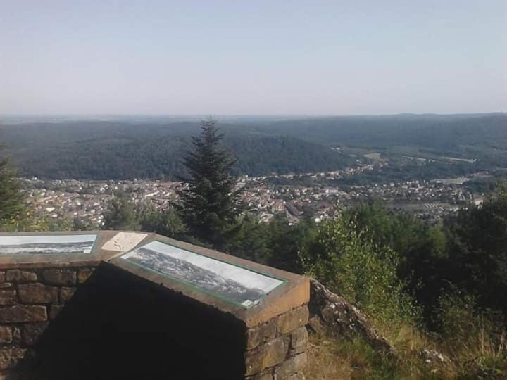 Chateau Robert Raon-l'Etape ภายนอก รูปภาพ