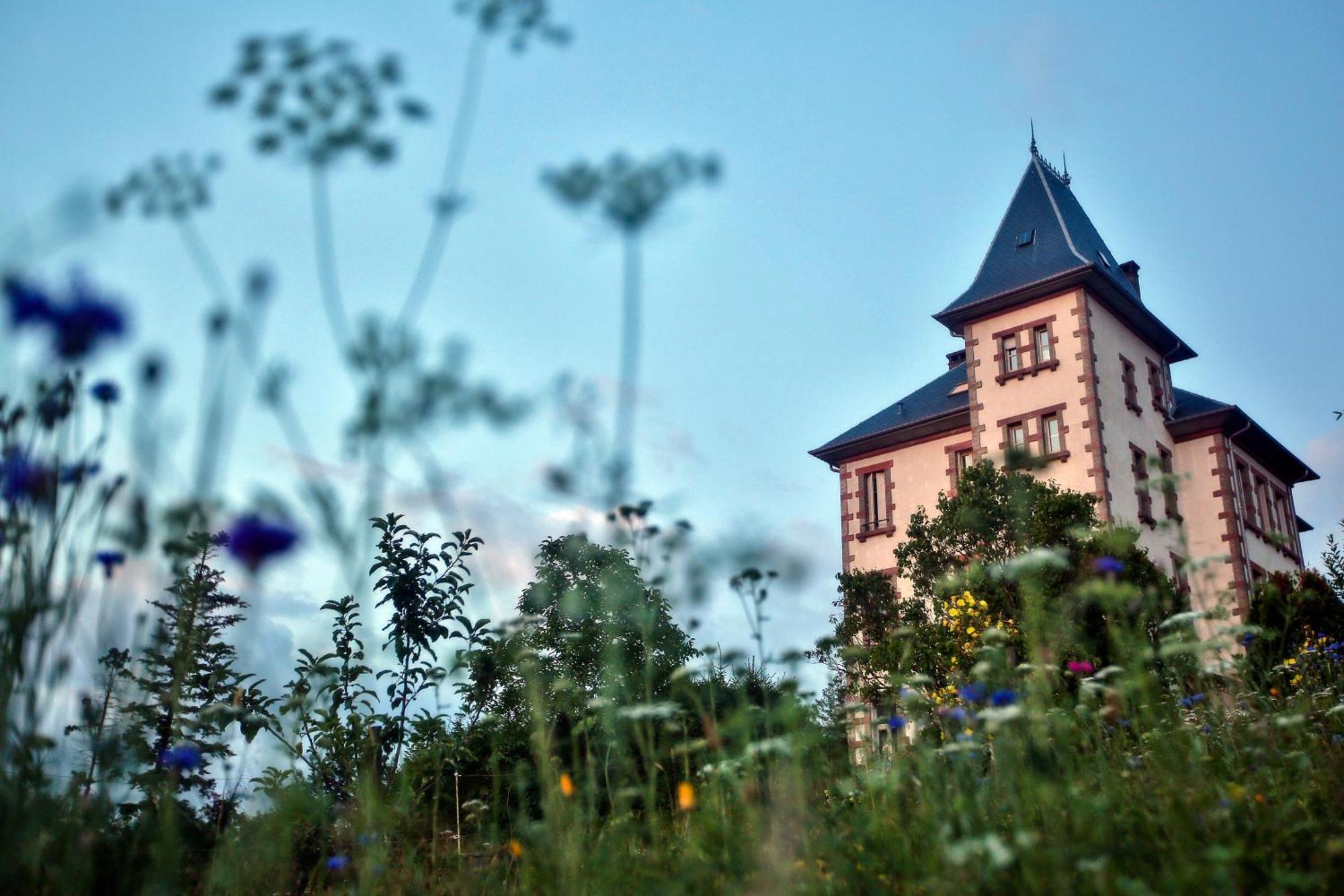Chateau Robert Raon-l'Etape ภายนอก รูปภาพ